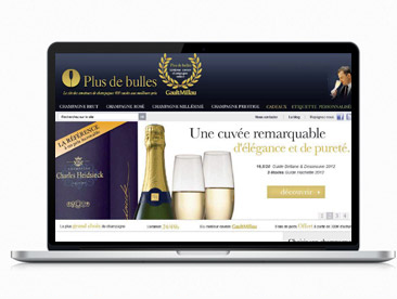 v-webdesign-pb