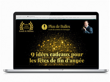 web design freelance emailig newsletter Plus de bulles